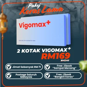[5002] VGMX 2